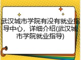 武汉城市学院有没有就业指导中心，详细介绍(武汉城市学院就业指导)