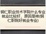 铜仁职业技术学院什么专业就业比较好，原因是啥(铜仁职院好就业专业)