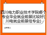 四川电力职业技术学院哪个专业毕业就业前景比较好(川电就业前景佳专业)