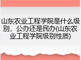 山东农业工程学院是什么级别，公办还是民办(山东农业工程学院级别性质)