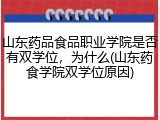 山东药品食品职业学院是否有双学位，为什么(山东药食学院双学位原因)