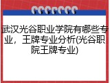 武汉光谷职业学院有哪些专业，王牌专业分析(光谷职院王牌专业)