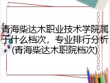 青海柴达木职业技术学院属于什么档次，专业排行分析(青海柴达木职院档次)