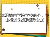 沈阳城市学院学校简介，校史概述(沈阳城院校史)