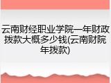 云南财经职业学院一年财政拨款大概多少钱(云南财院年拨款)