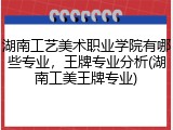 湖南工艺美术职业学院有哪些专业，王牌专业分析(湖南工美王牌专业)