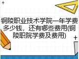铜陵职业技术学院一年学费多少钱，还有哪些费用(铜陵职院学费及费用)