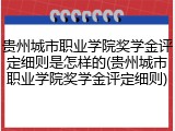 贵州城市职业学院奖学金评定细则是怎样的(贵州城市职业学院奖学金评定细则)
