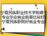 宁夏民族职业技术学院哪个专业毕业就业前景比较好(宁夏民族职院好就业专业)