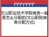 文山职业技术学院宿舍一般是怎么分配的(文山职院宿舍分配方式)