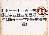 湖南三一工业职业技术学院哪些专业就业前景好，为什么(湖南三一学院好就业专业)