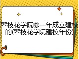 攀枝花学院哪一年成立建校的(攀枝花学院建校年份)