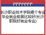 长沙职业技术学院哪个专业毕业就业前景比较好(长沙职院好就业专业)