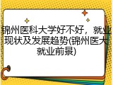 锦州医科大学好不好，就业现状及发展趋势(锦州医大就业前景)