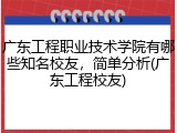 广东工程职业技术学院有哪些知名校友，简单分析(广东工程校友)