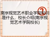 南京视觉艺术职业学院校训是什么，校长介绍(南京视觉艺术学院校长)