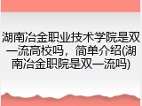 湖南冶金职业技术学院是双一流高校吗，简单介绍(湖南冶金职院是双一流吗)