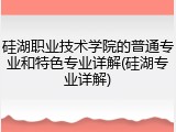 硅湖职业技术学院的普通专业和特色专业详解(硅湖专业详解)
