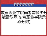 东营职业学院高考需多少分能录取呢(东营职业学院录取分数)