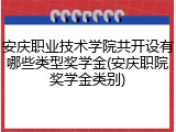 安庆职业技术学院共开设有哪些类型奖学金(安庆职院奖学金类别)