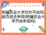 新疆农业大学对外开放吗，能否进去参观(新疆农业大学开放参观吗)
