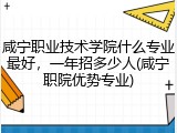 咸宁职业技术学院什么专业最好，一年招多少人(咸宁职院优势专业)