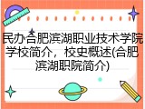 民办合肥滨湖职业技术学院学校简介，校史概述(合肥滨湖职院简介)