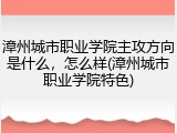 漳州城市职业学院主攻方向是什么，怎么样(漳州城市职业学院特色)