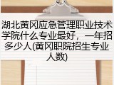湖北黄冈应急管理职业技术学院什么专业最好，一年招多少人(黄冈职院招生专业人数)