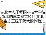 湖北生态工程职业技术学院就读的真实感觉如何(湖北生态工程职院就读体验)