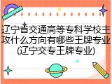 辽宁省交通高等专科学校主攻什么方向有哪些王牌专业(辽宁交专王牌专业)