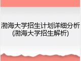 渤海大学招生计划详细分析(渤海大学招生解析)