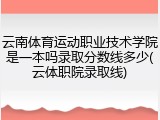 云南体育运动职业技术学院是一本吗录取分数线多少(云体职院录取线)