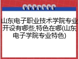 山东电子职业技术学院专业开设有哪些,特色在哪(山东电子学院专业特色)