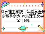 燕京理工学院一年奖学金最多能拿多少(燕京理工奖学金上限)