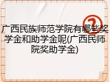 广西民族师范学院有哪些奖学金和助学金呢(广西民师院奖助学金)