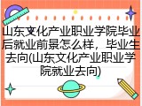 山东文化产业职业学院毕业后就业前景怎么样，毕业生去向(山东文化产业职业学院就业去向)