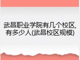 武昌职业学院有几个校区,有多少人(武昌校区规模)