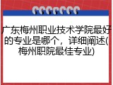 广东梅州职业技术学院最好的专业是哪个，详细阐述(梅州职院最佳专业)