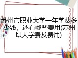 苏州市职业大学一年学费多少钱，还有哪些费用(苏州职大学费及费用)