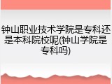 钟山职业技术学院是专科还是本科院校呢(钟山学院是专科吗)