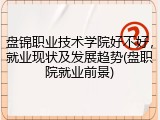 盘锦职业技术学院好不好，就业现状及发展趋势(盘职院就业前景)