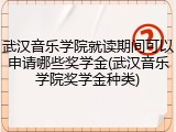 武汉音乐学院就读期间可以申请哪些奖学金(武汉音乐学院奖学金种类)