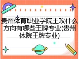 贵州体育职业学院主攻什么方向有哪些王牌专业(贵州体院王牌专业)