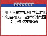 四川西南航空职业学院有哪些知名校友，简单分析(西南西航校友概况)