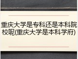 重庆大学是专科还是本科院校呢(重庆大学是本科学府)