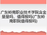 广东岭南职业技术学院含金量量吗，值得报吗(广东岭南职院值得报吗)