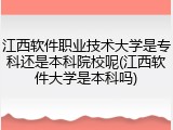 江西软件职业技术大学是专科还是本科院校呢(江西软件大学是本科吗)