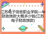 江苏电子信息职业学院一年财政拨款大概多少钱(江苏电子财政拨款)
