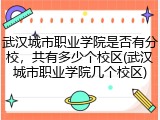 武汉城市职业学院是否有分校，共有多少个校区(武汉城市职业学院几个校区)